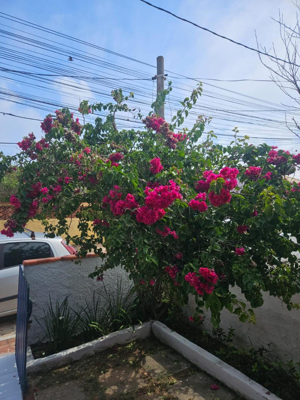 Casa De Temporada Em Figueira - Arraial Do Cabo - Casa 5 Vila Exterior foto
